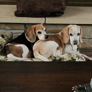 Meet your Posher, Thingz